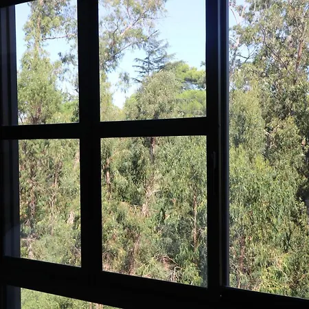 Treetops Apartment