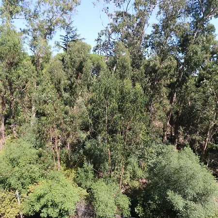 Apartmán Treetops *